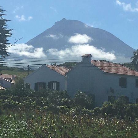 Home Pico - Casa Dos Cedros Criacao Velha Eksteriør billede